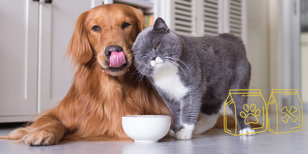 Alimentation : comment bien nourrir son chien/son chat ? - Biocanina