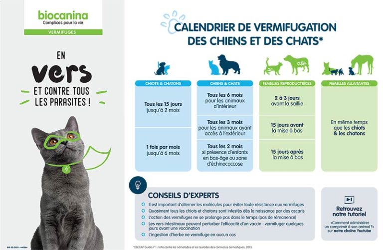 biocanina chat vermifuge